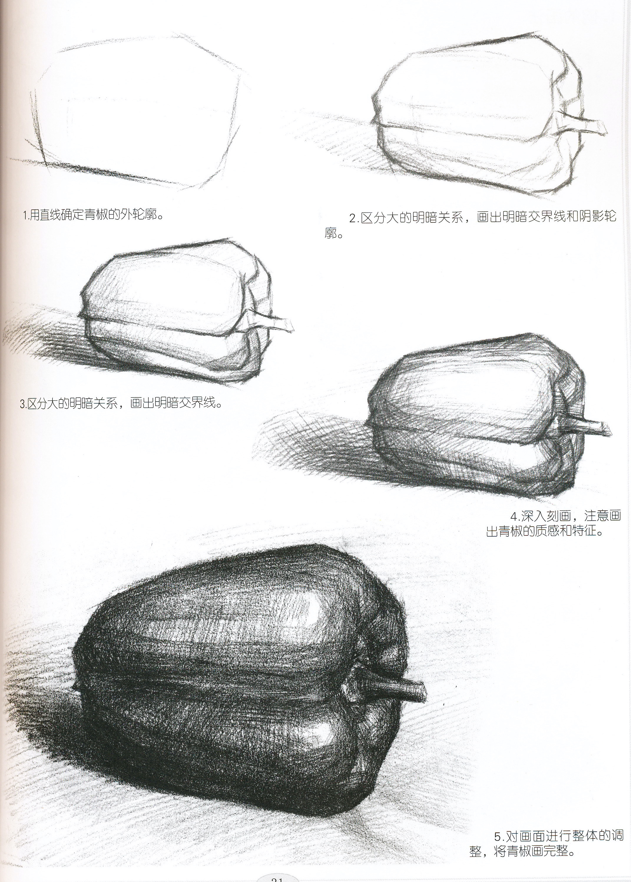 image showing the stages of the drawing of a bell pepper