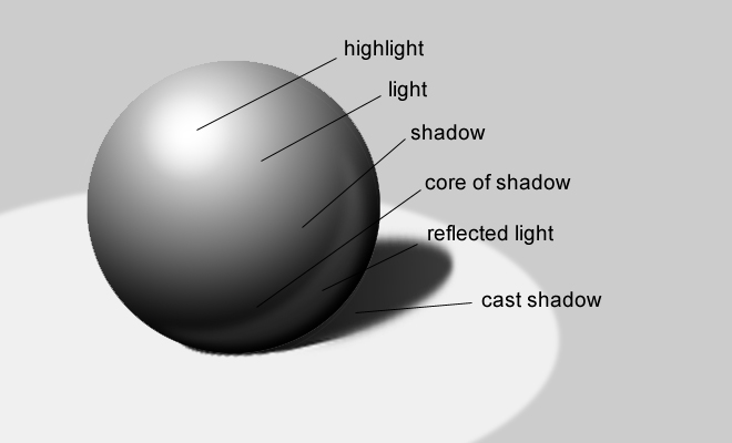 digital image of a sphere showing the system of chiaroscuro. The six parts of chiaroscuro are marked on the image.