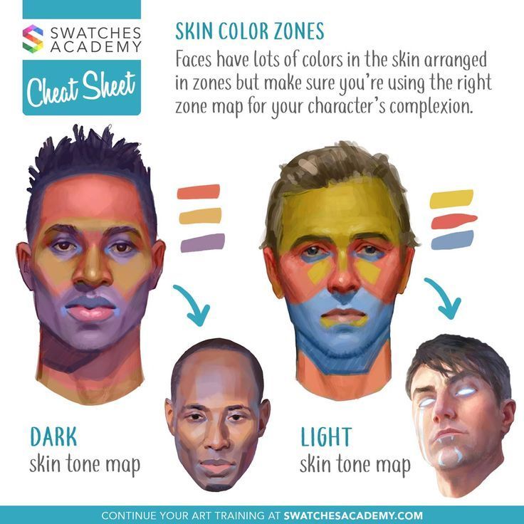 color zones of the face graphic
