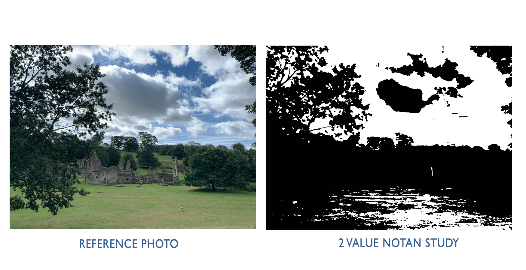 photograph next to a black and white notan study